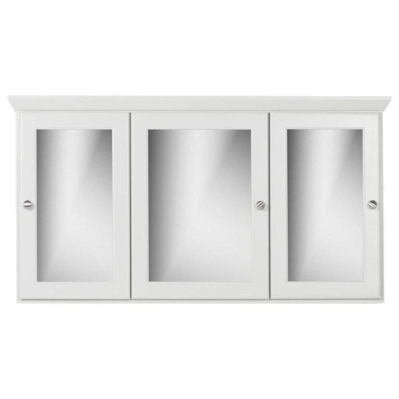 Highland Dunes Chewning 48'' W 27'' H Surface Mount Framed Medicine